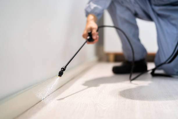 Bed Bug Pre-Treatment Preparation Assessment in Greeley
